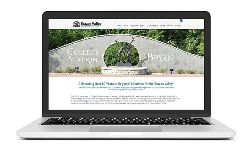 BVCOG-site-launch-pic.jpg