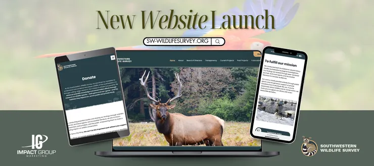 Websites(9).webp