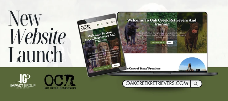OCRWesbiteCover.webp