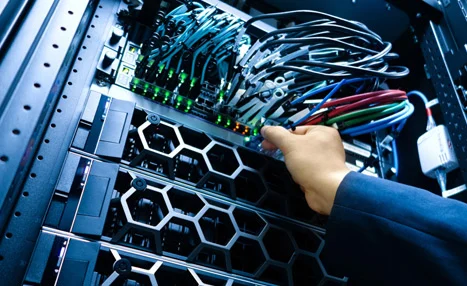 Network cables plugged into a web hosting server